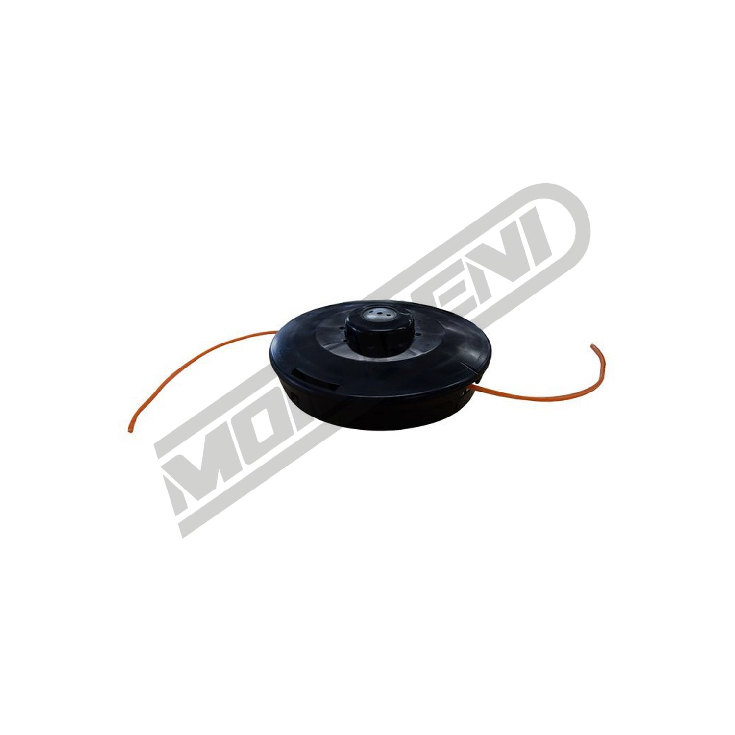 Glava flaksa Echo B6