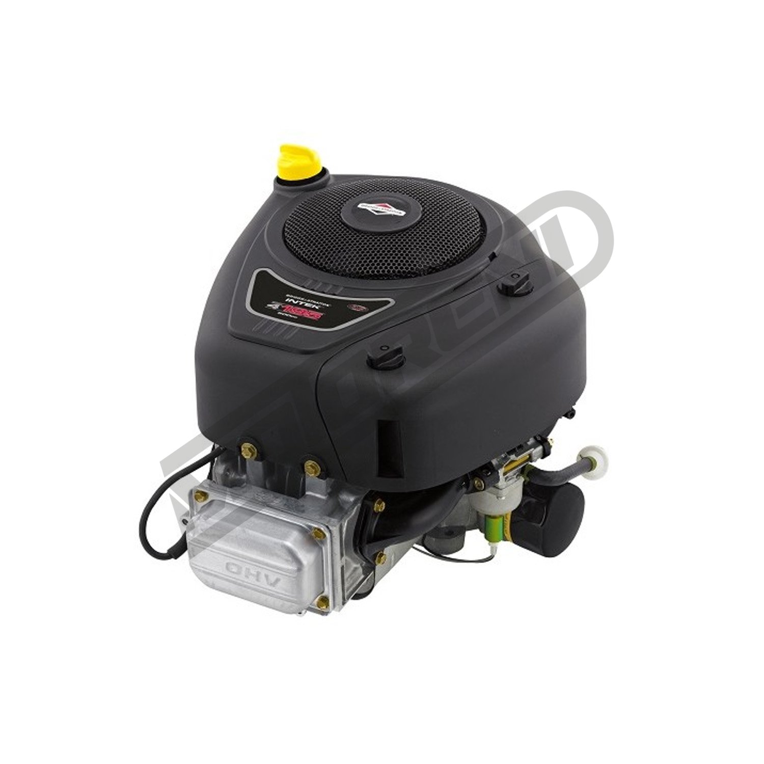 Motor Briggs & Stratton 4195 Series (25,4 / 80 mm)